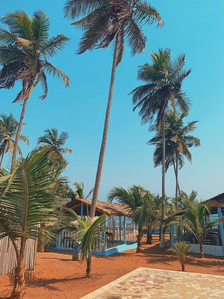 Une semaine en Côte d'Ivoire