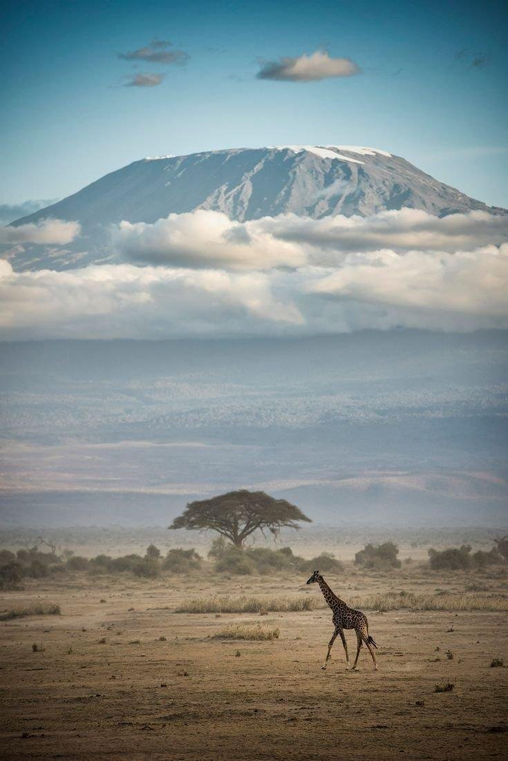 Le tour d'Afrique en 15 jours