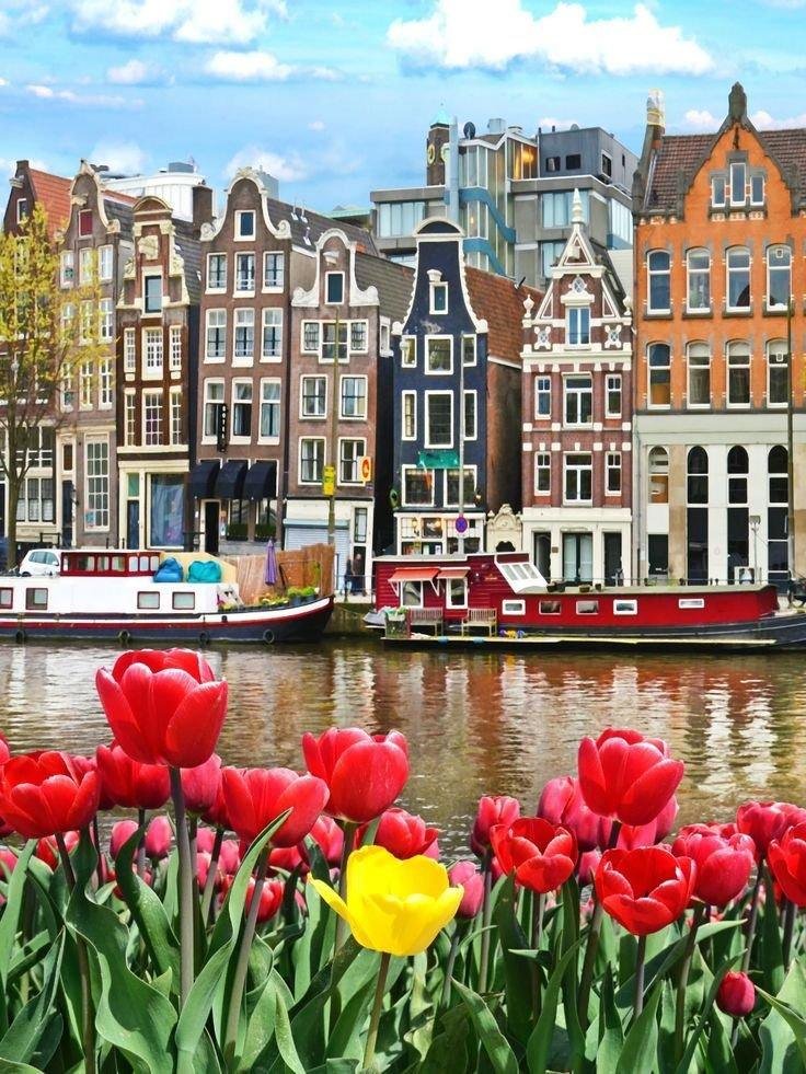 Amsterdam Love